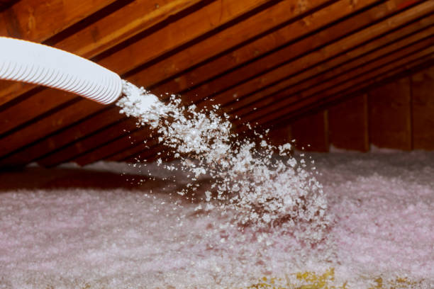 Best Insulation Maintenance and Repair in Tularosa, NM